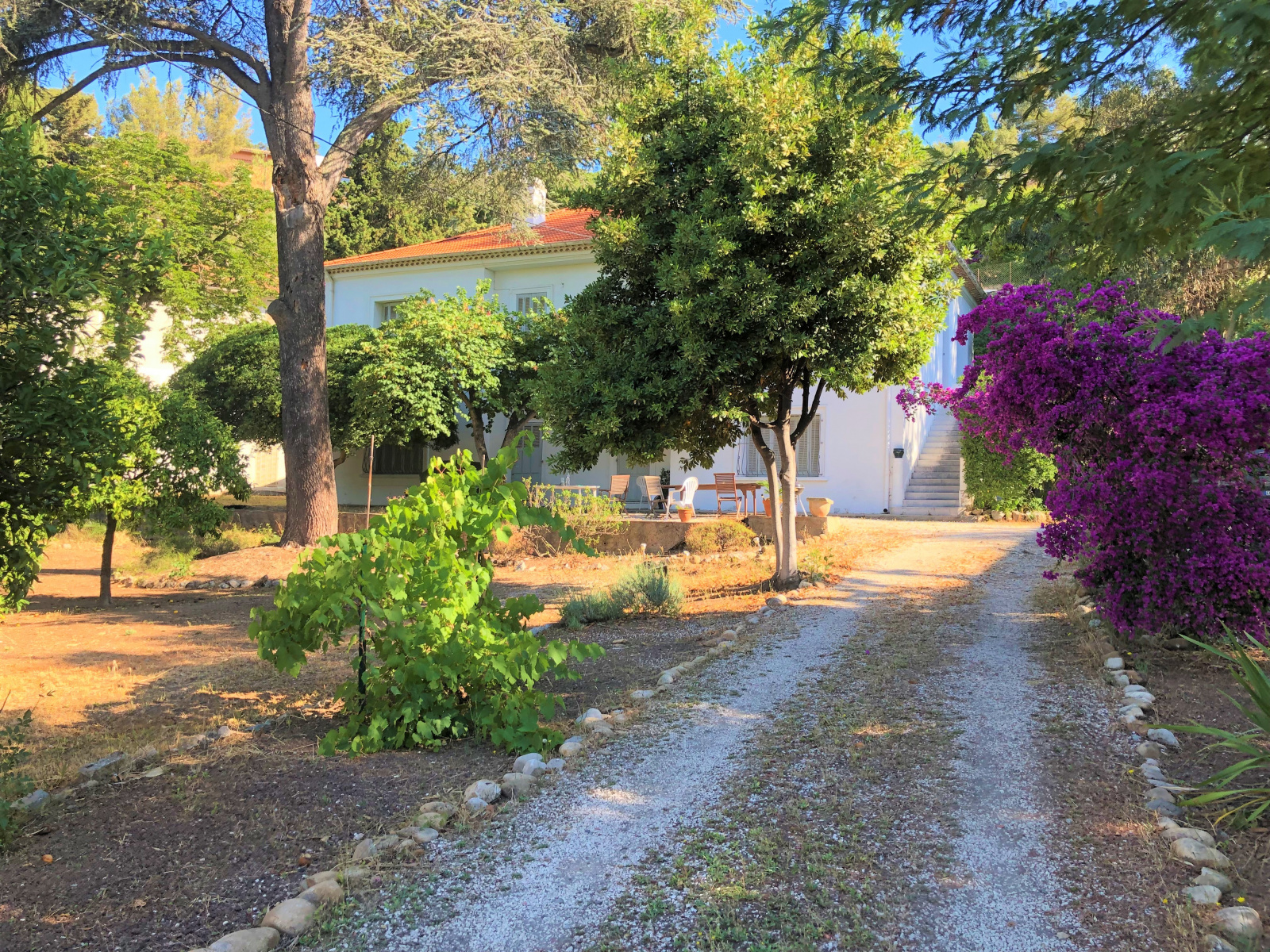 Vente Propriété Composée De 2 Maisons Sur 2 Parcelles Cadastrales-vue ...