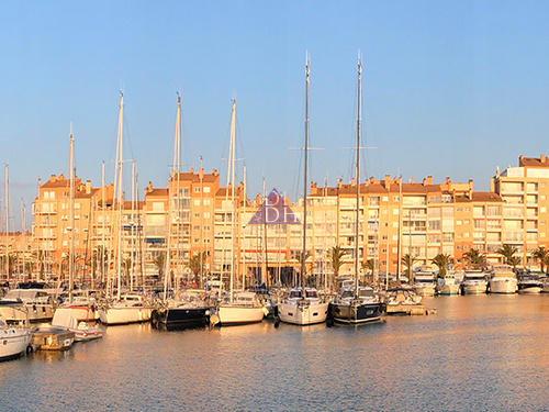 Agence immobilière de Agence des iles d'hyeres