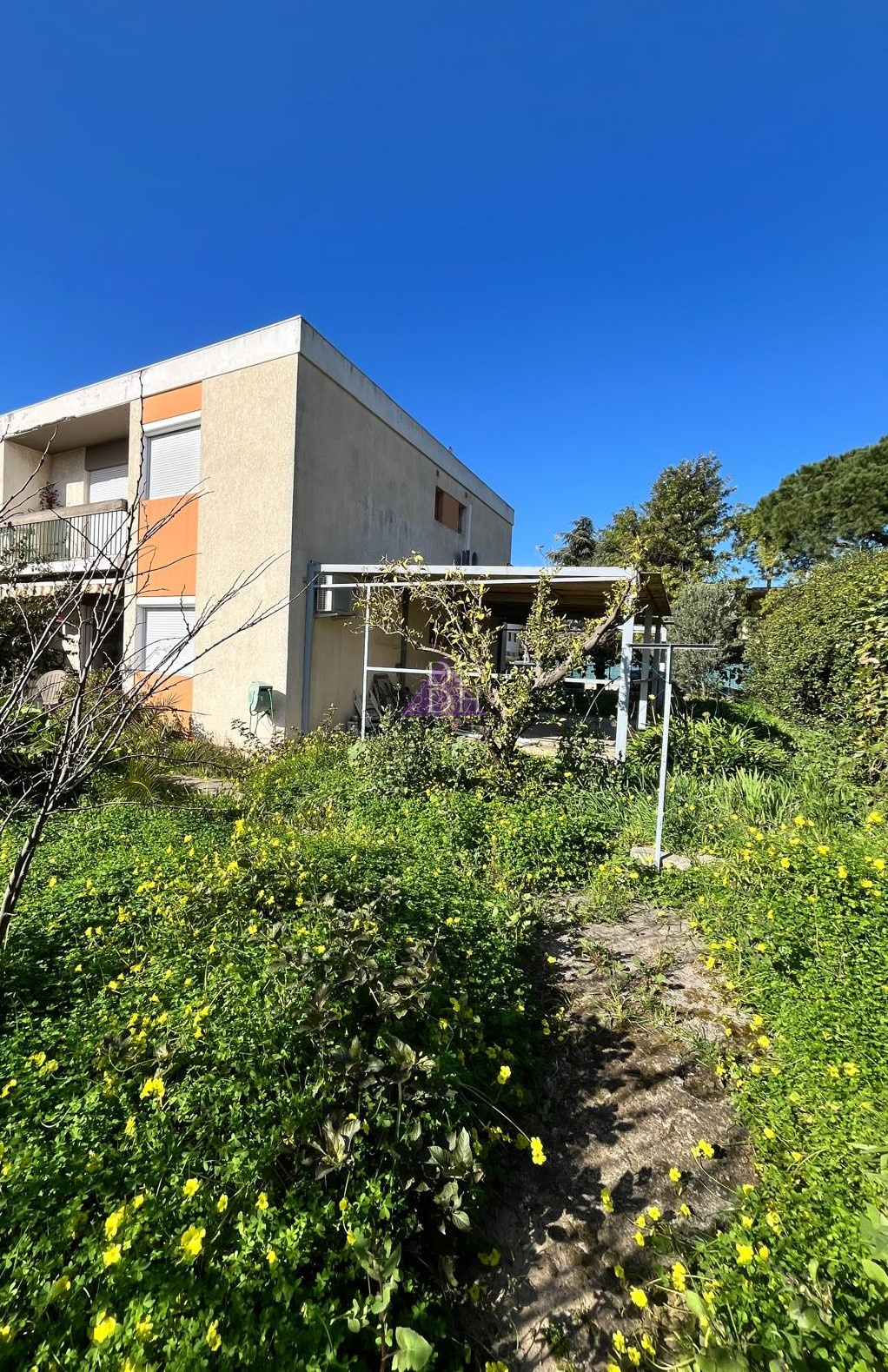 Agence immobilière de Agence des iles d'hyeres